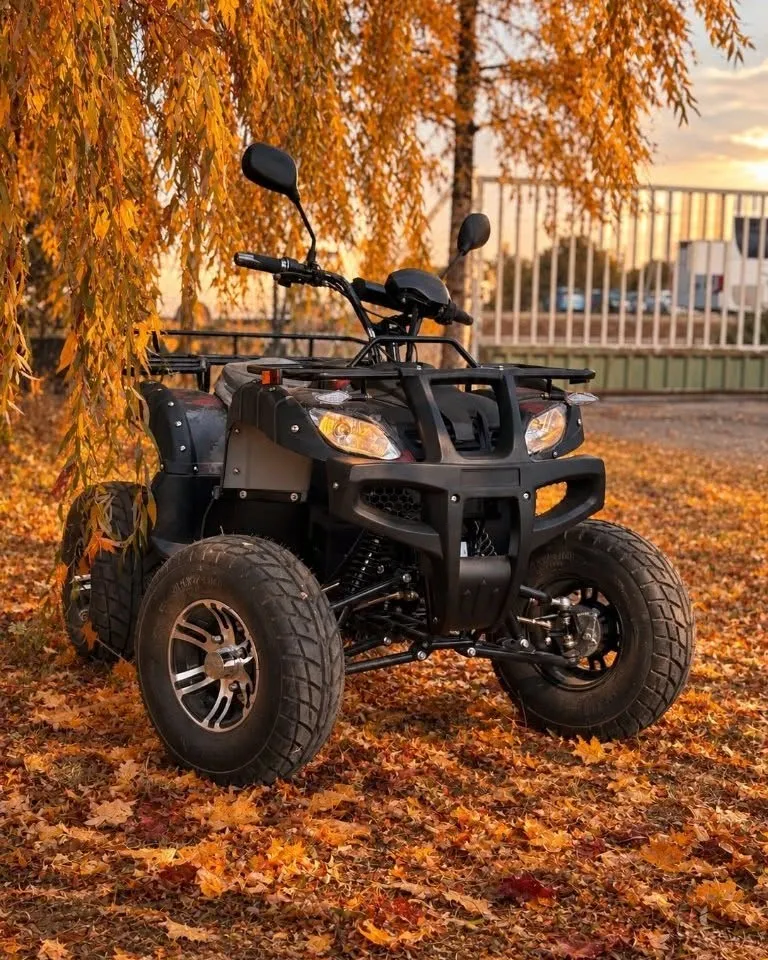 Elektromos quad az őszi avarban, naplementében